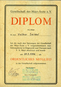 Mayr Diplom 1996